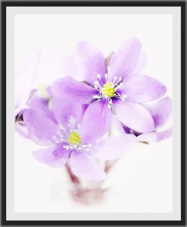 Floral-painting